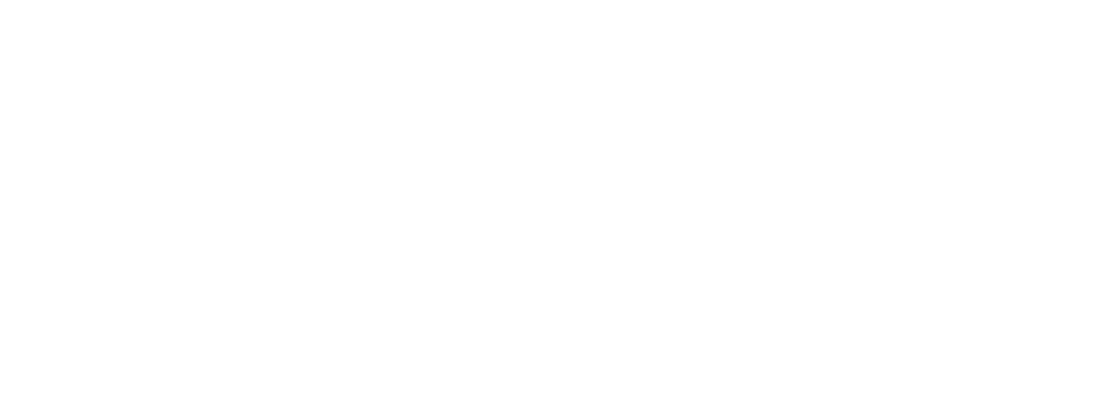 Play Hockey